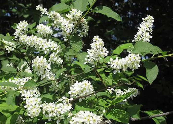 Moekkiranta By Interhome Nyaraló Vaskivesi